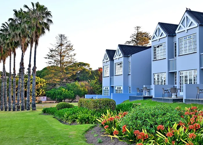 Ping Pong hotel: Anew Resort Wilderness Garden Route