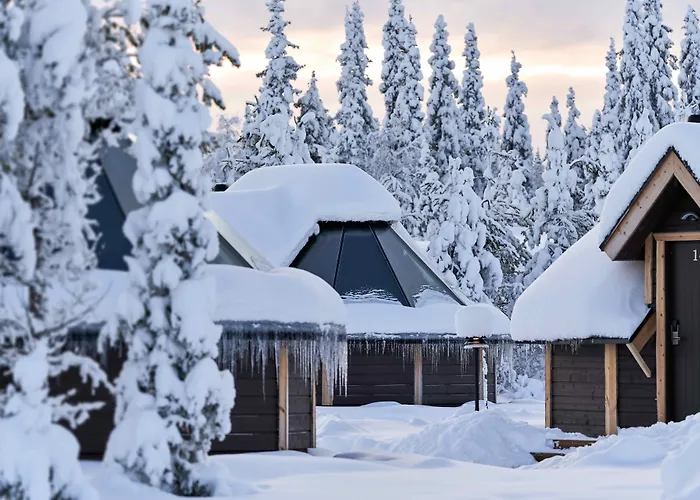 Huisdiervriendelijk hotel: Northern Lights Village Levi