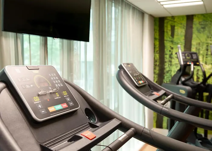 Huisdiervriendelijk hotel: Nh Hannover