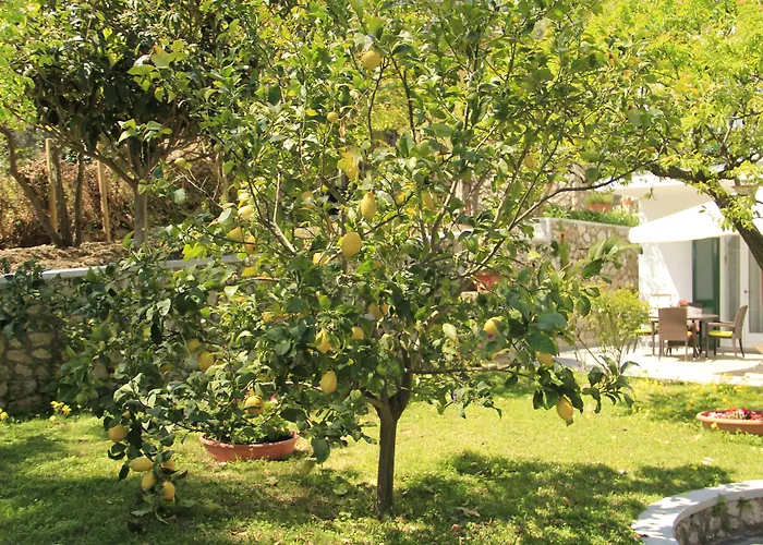 Casa Augusto