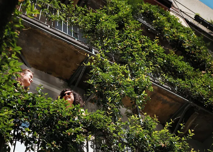 Tomato Backpackers