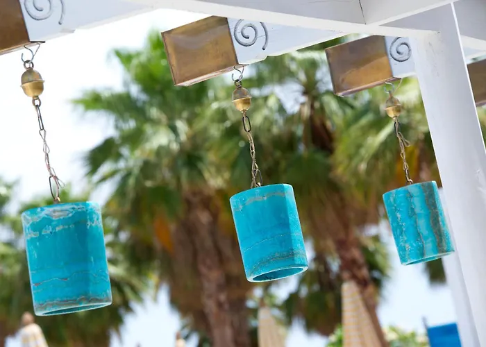 Amphoras Aqua Adults Friendly