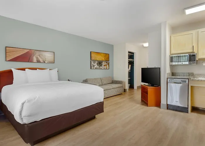 Mainstay Suites Tampa Moffitt-Usf