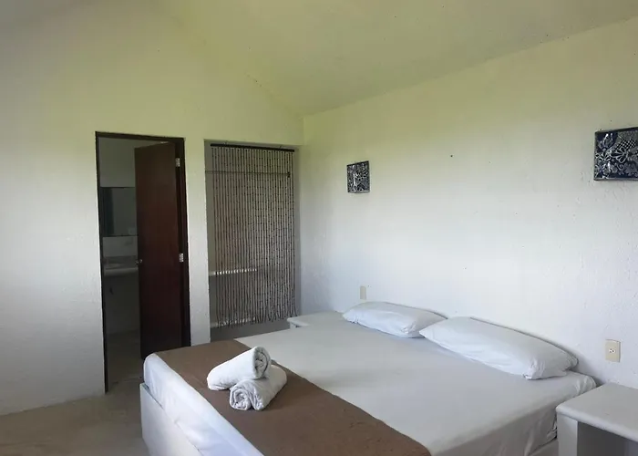 Hôtel accueillant les animaux: Casa Amor Pto Morelos