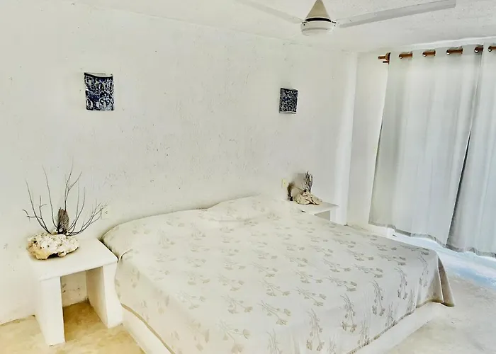 Hôtel accueillant les animaux: Casa Amor Pto Morelos
