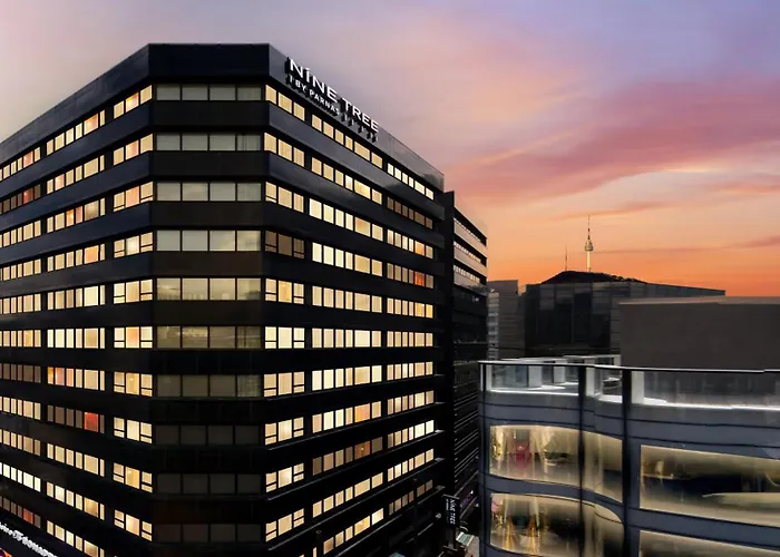 Family resorts Nine Tree By Parnas Seoul Myeongdong 1