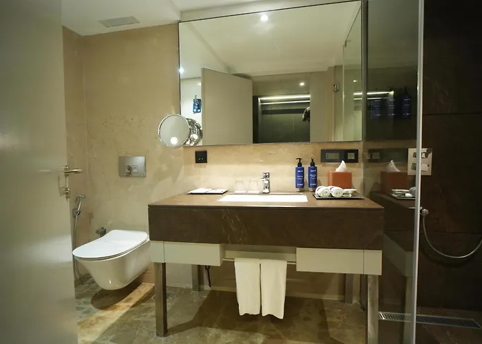 Luxury hotel only: Radisson Blu Hotel Ranchi