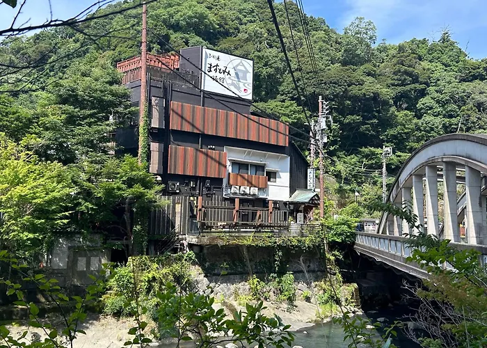 3 star hotel: Masutomi Ryokan