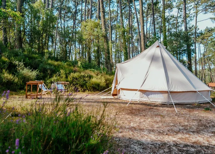Cocooning Tipi - Seignosse