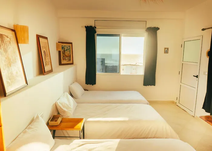 Olas Surf Camp