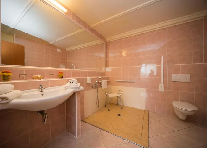 Hotel con piscina: Top Hotel Praha