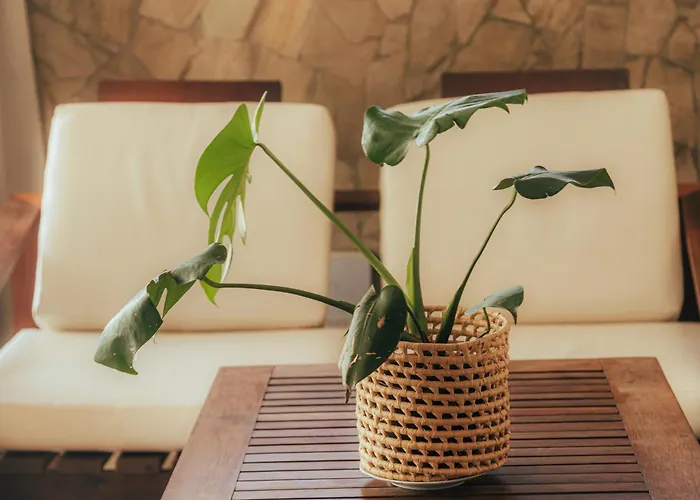Pipa Panorama Aparthotel By Oceana Suites