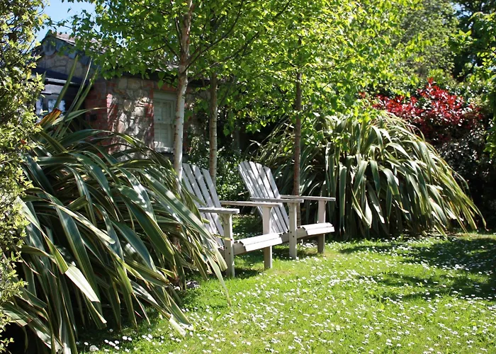 Antonia'S Pearls