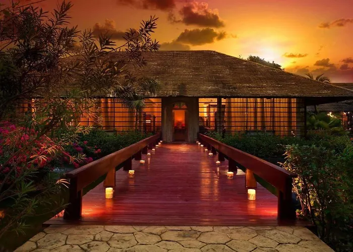 Hôtel accueillant les animaux: Paradisus Punta Cana Resort All Inclusive (Adults Only)