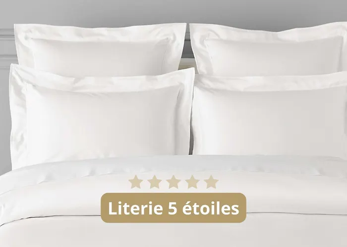 Familiehotel: Pullman Bordeaux Lac