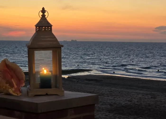 Hôtel accueillant les animaux: Hôtel La Champagne Ardenne Cabourg