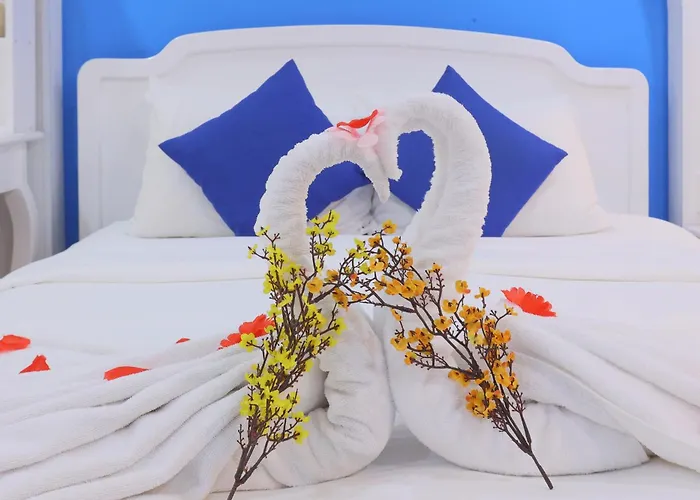 Chez Mimosa Petite - Free Laundry