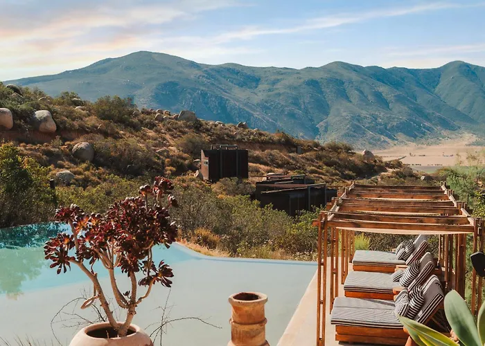 Encuentro Guadalupe