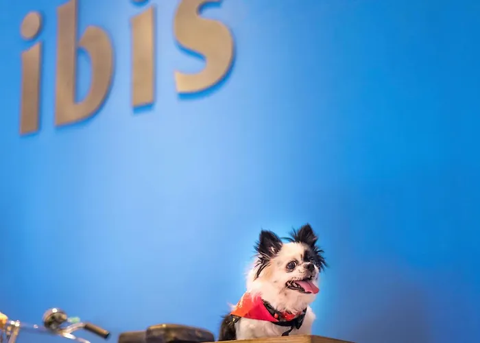 ibis Montpellier Centre Comedie