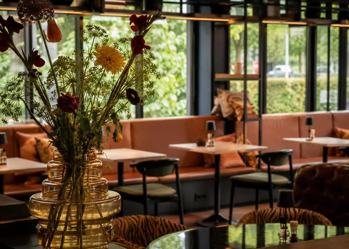 Ibis