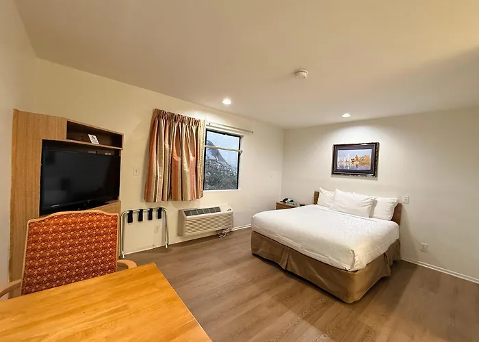 Albergo economico: Jolly Roger Hotel