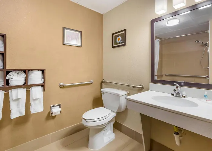 Comfort Suites Regency Park