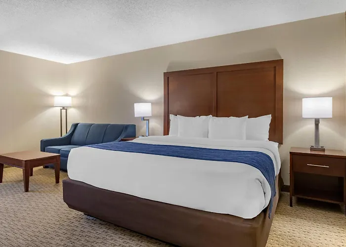 Comfort Inn Near Greenfield Village