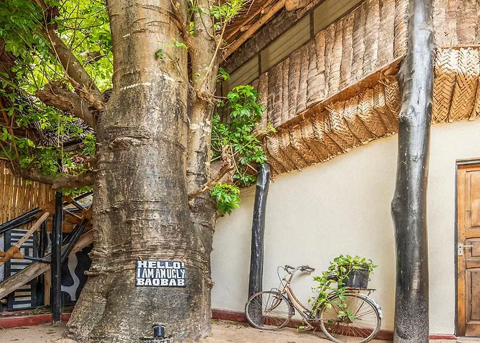 Makofi Guest House