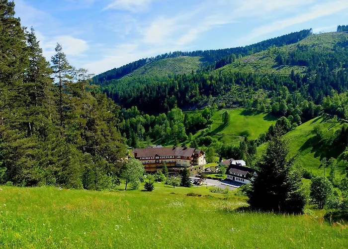 Tanne Tonbach - Wellness & Wohlfuehl Hotel