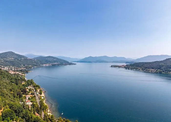  Arona