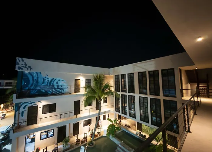 Piscis Art By Ool Hotels