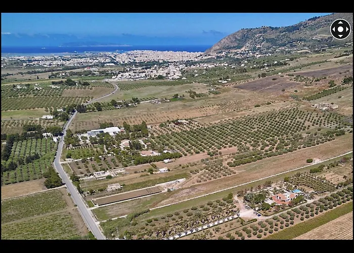  Delle Palme Delfina