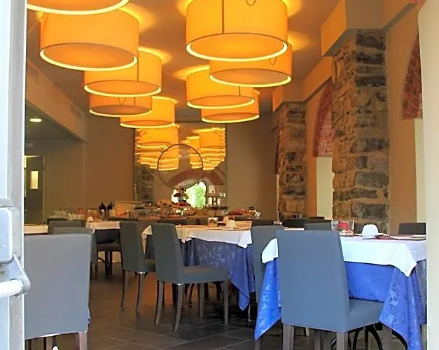 Perros hoteles Lizard