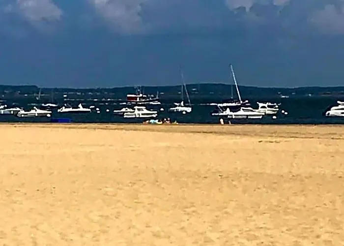 Lamayade