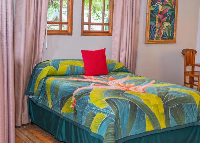 Lost Iguana Resort And Spa