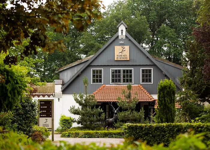 Veluwe De Beyaerd