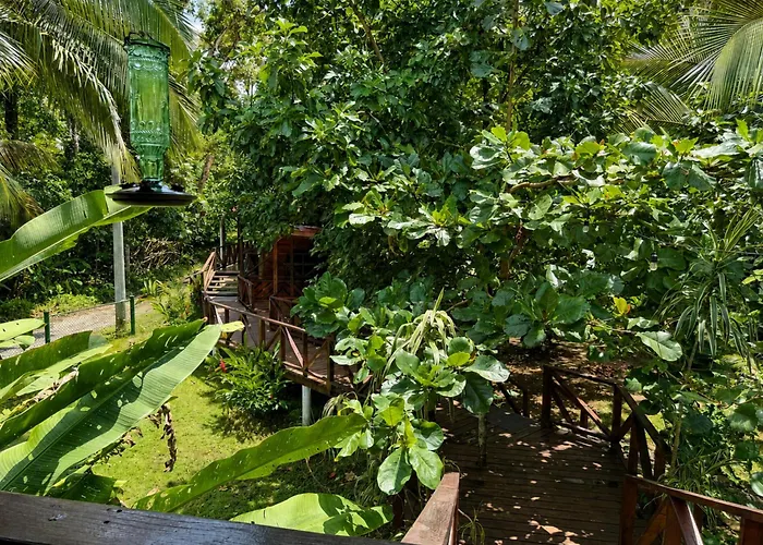 Spa Hotels Resorts Oasis Bluff Beach