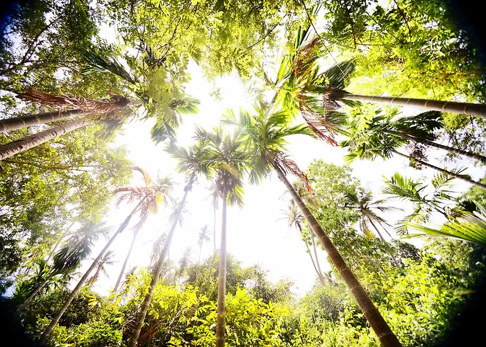Flame Tree Estate &