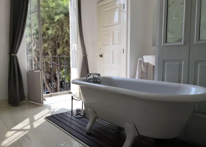 Condesa Haus Rentals