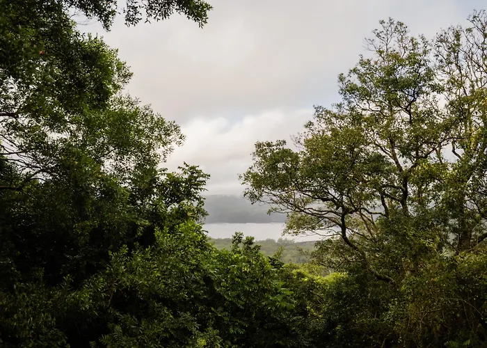 Montville Misty View Cottages