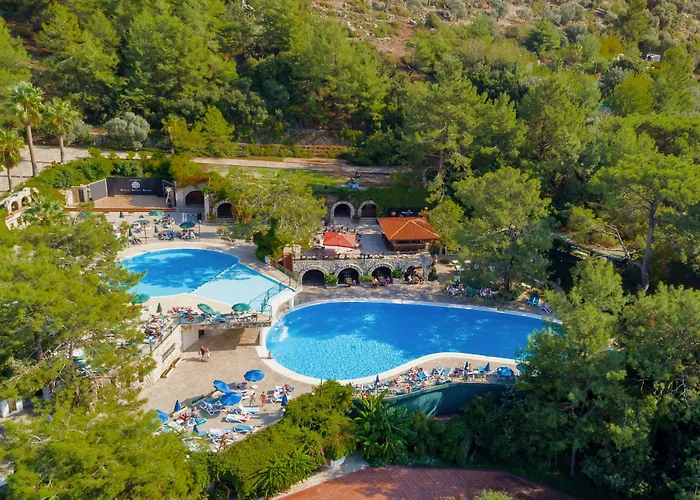 Montana Pine Resort