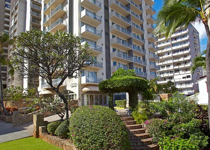 Coconut Waikiki