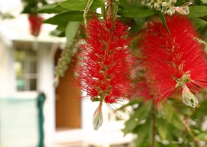 Bluff Hill Bed & Breakfast