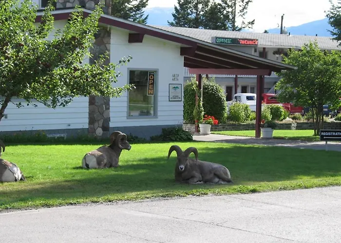 Mountain Springs Motel