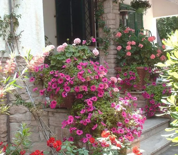 La Zattera