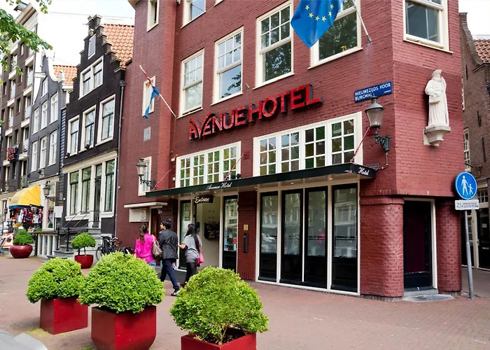 Beach Hotels Avenue