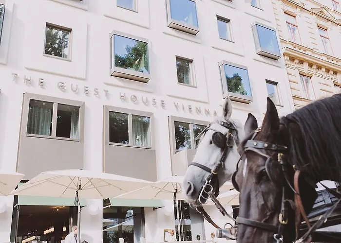 Hotel con vista: The Guesthouse Vienna