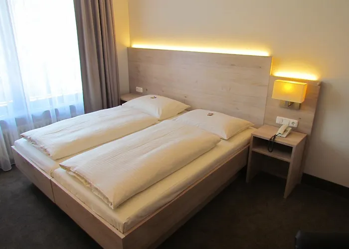 Huisdiervriendelijk hotel: Hotel Lutter