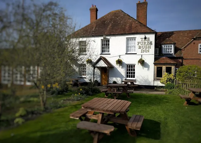 Furze Bush Inn