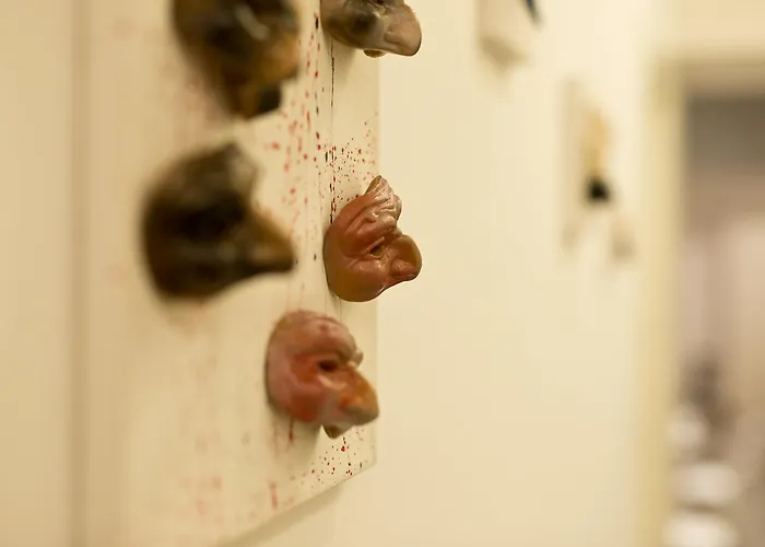 Hôtel 5 étoiles: Parthenope Suite